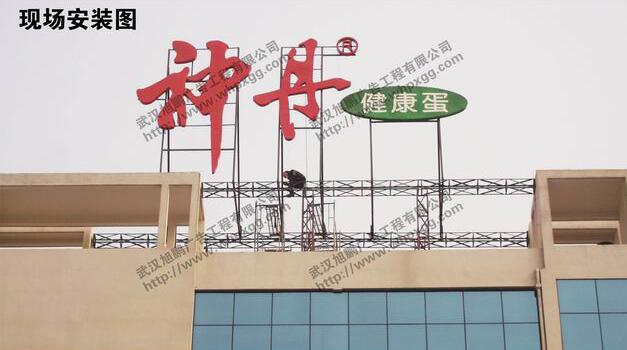 大型外露发光? /></a>
								<p><a href=