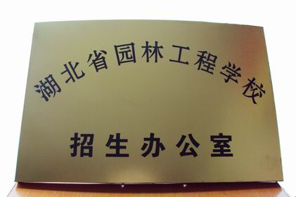 弧面双色? /></a>
								<p><a href=